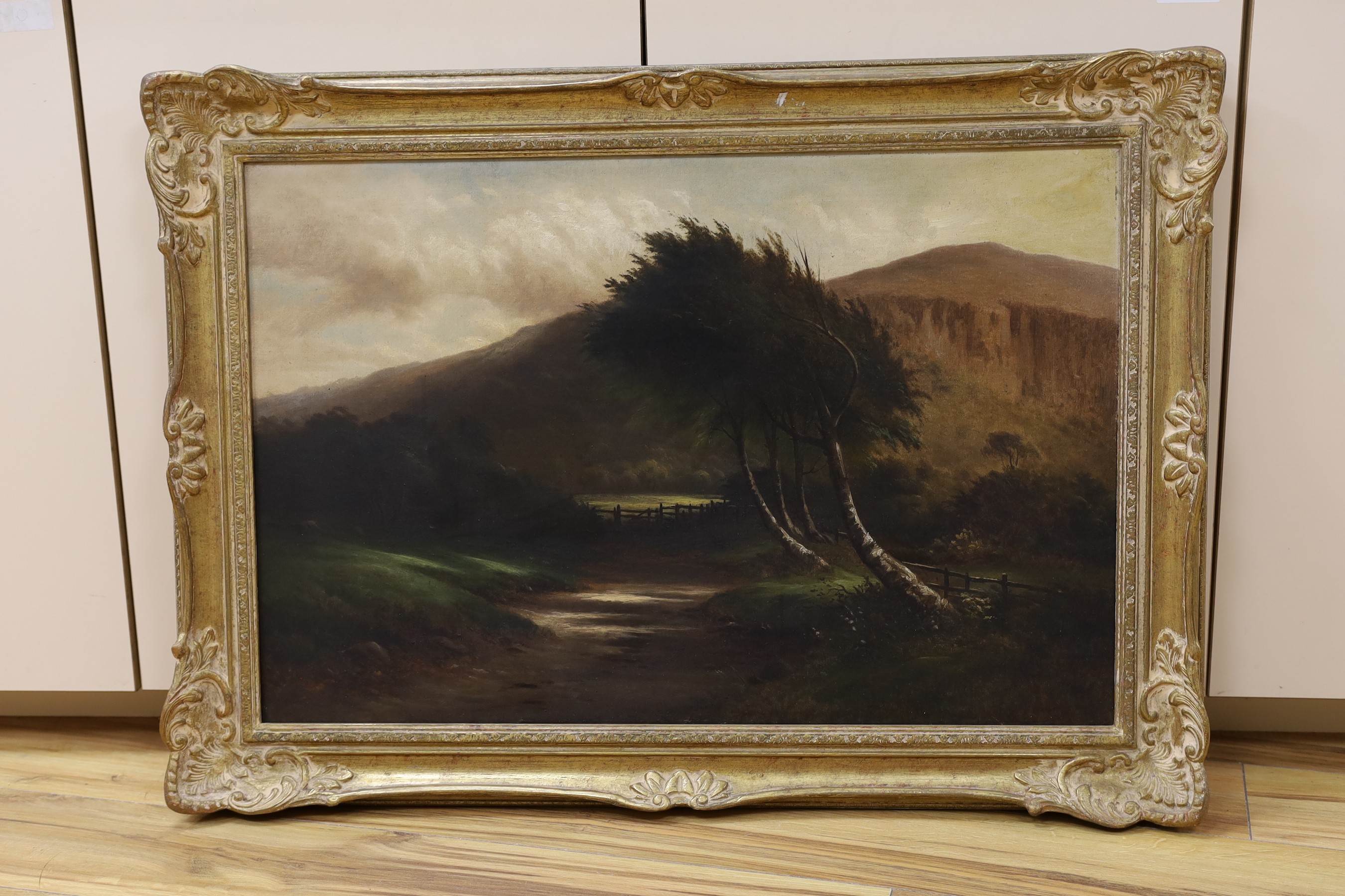 B.T. Wadham, oil on canvas, 'First Light', label verso, 50 x 75cm